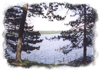 View of the Chippewa Flowage
