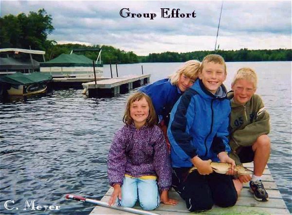 Group Effort - C. Meyer