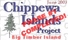 Chippewa Islands Project