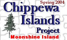 Chippewa Islands Project