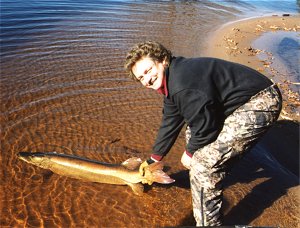 Trophy Muskie Caught Four Times Before Being Kept