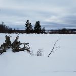 20170126_135155