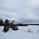 20170126_135207