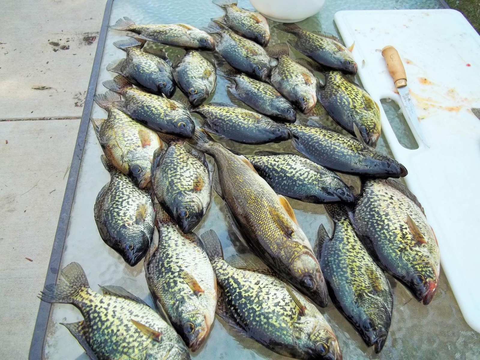 Chippewa Flowage fall crappie fishing - Hayward WI Crappie fishing