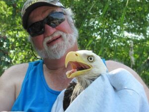 Ron Bergman - Bald Eagle Rescue