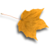 Fall Get-aways near Hayward WI