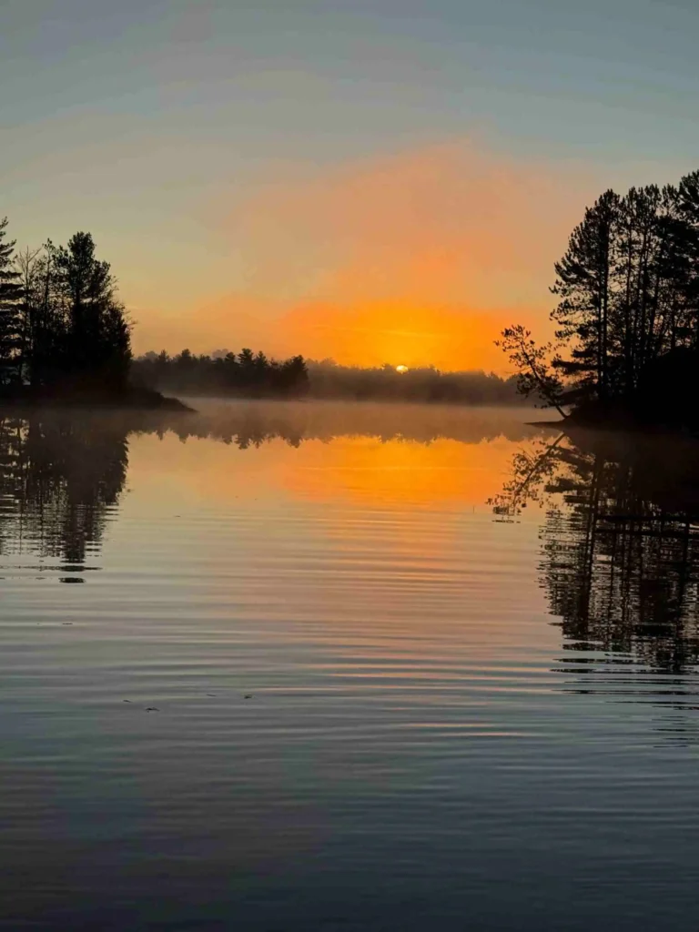 Photo by Omni Electric