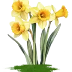 Spring on the Chippewa Flowage